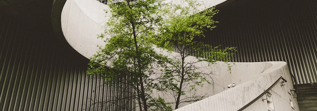 Integridad y Transparencia